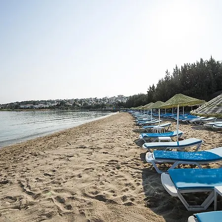 Апарт-отель Altin Yunus Apart Beach Plus *